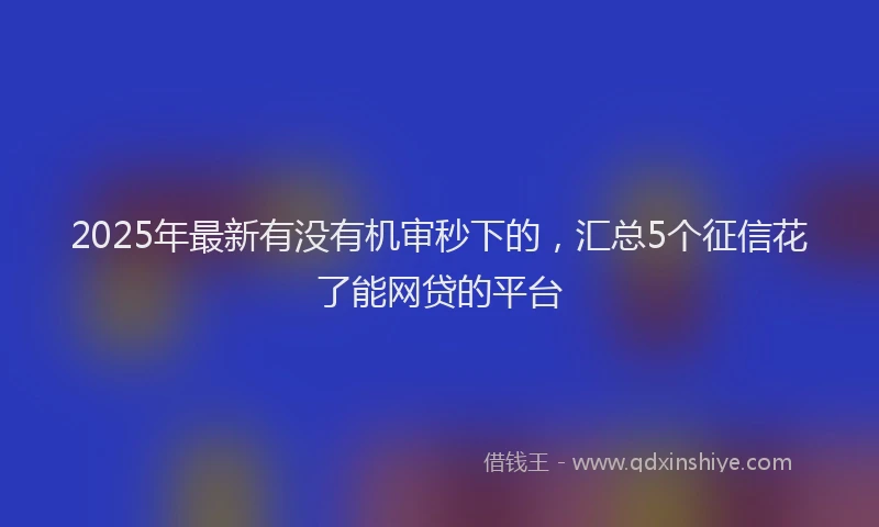 2025年最新有没有机审秒下的，汇总5个征信花了能网贷的平台