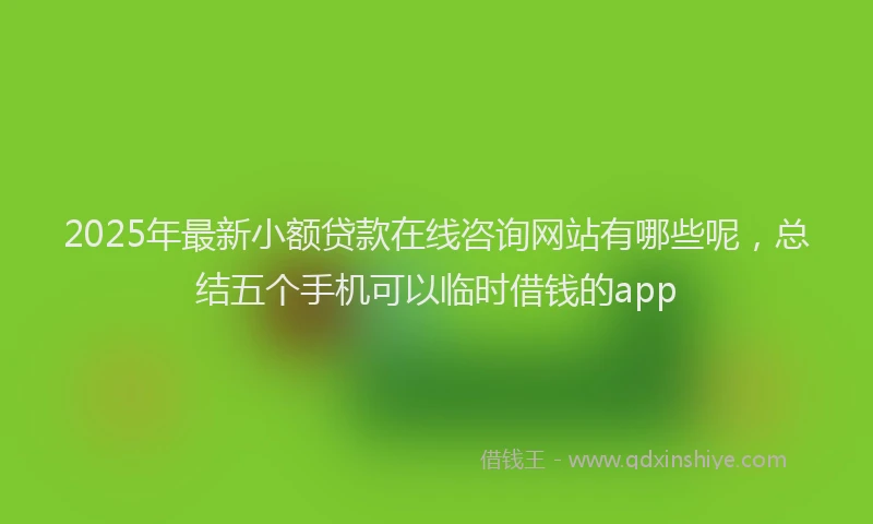 2025年最新小额贷款在线咨询网站有哪些呢，总结五个手机可以临时借钱的app
