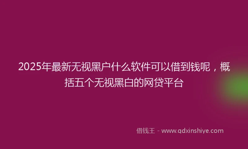 2025年最新无视黑户什么软件可以借到钱呢，概括五个无视黑白的网贷平台