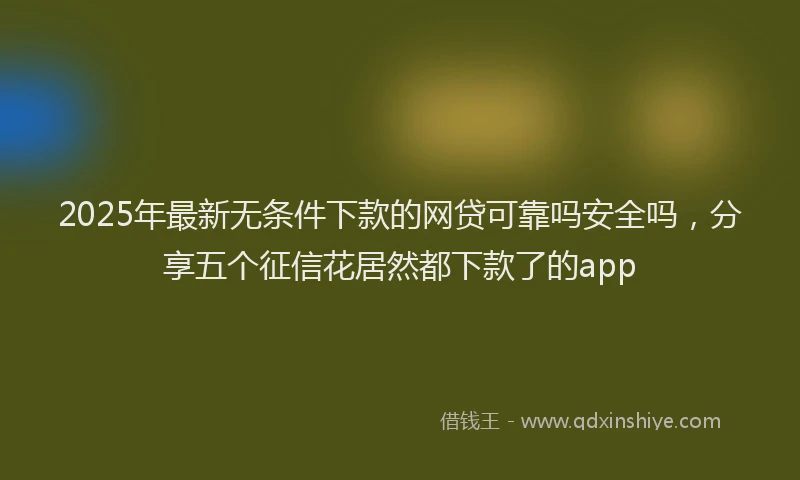 2025年最新无条件下款的网贷可靠吗安全吗，分享五个征信花居然都下款了的app