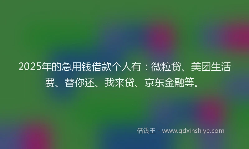 2025年的急用钱借款个人有：微粒贷、美团生活费、替你还、我来贷、京东金融等。