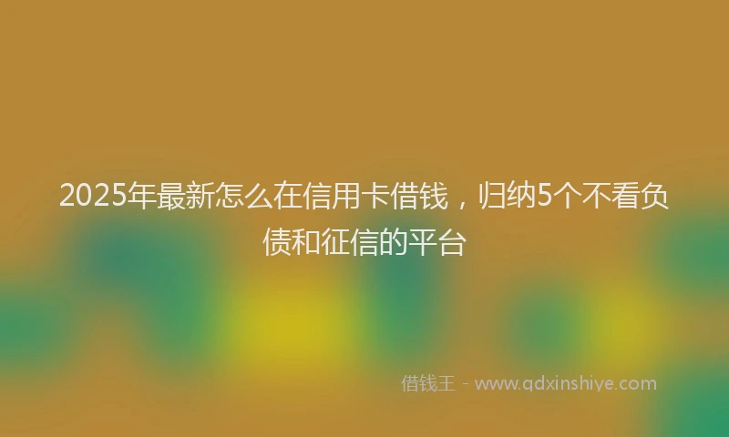2025年最新怎么在信用卡借钱，归纳5个不看负债和征信的平台