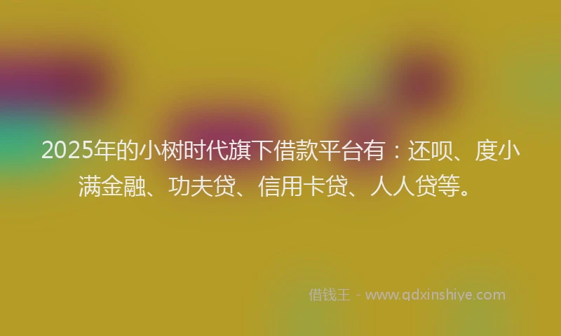 2025年的小树时代旗下借款平台有：还呗、度小满金融、功夫贷、信用卡贷、人人贷等。