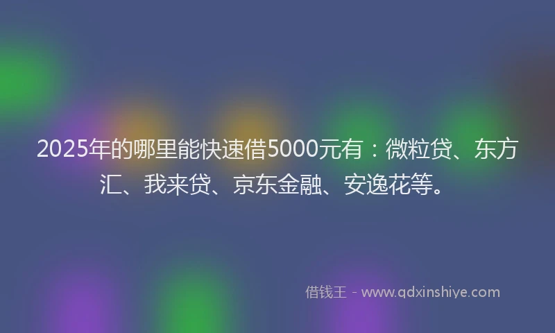 2025年的哪里能快速借5000元有：微粒贷、东方汇、我来贷、京东金融、安逸花等。
