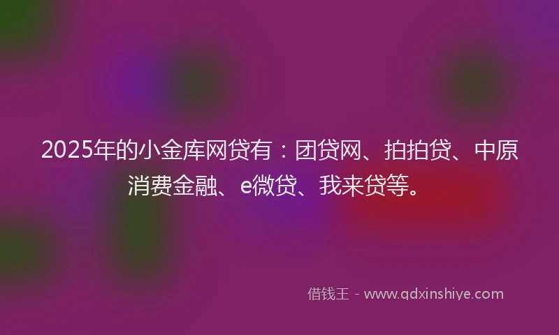 2025年的小金库网贷有：团贷网、拍拍贷、中原消费金融、e微贷、我来贷等。