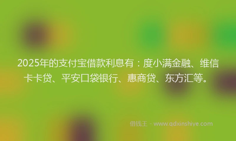 2025年的支付宝借款利息有：度小满金融、维信卡卡贷、平安口袋银行、惠商贷、东方汇等。