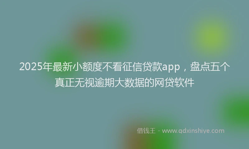 2025年最新小额度不看征信贷款app，盘点五个真正无视逾期大数据的网贷软件