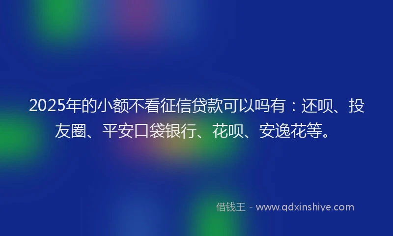 2025年的小额不看征信贷款可以吗有：还呗、投友圈、平安口袋银行、花呗、安逸花等。