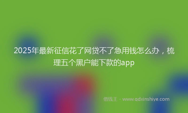 2025年最新征信花了网贷不了急用钱怎么办，梳理五个黑户能下款的app