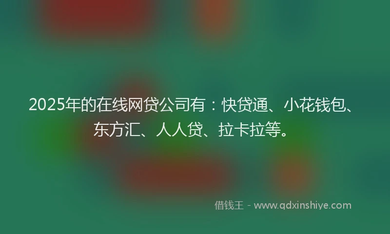 2025年的在线网贷公司有：快贷通、小花钱包、东方汇、人人贷、拉卡拉等。