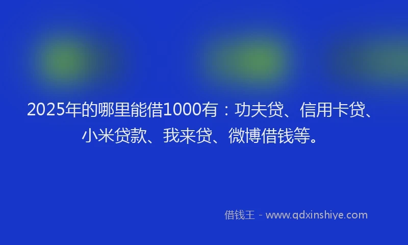 2025年的哪里能借1000有：功夫贷、信用卡贷、小米贷款、我来贷、微博借钱等。