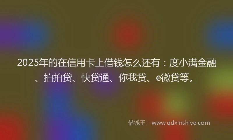 2025年的在信用卡上借钱怎么还有：度小满金融、拍拍贷、快贷通、你我贷、e微贷等。