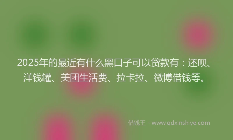 2025年的最近有什么黑口子可以贷款有：还呗、洋钱罐、美团生活费、拉卡拉、微博借钱等。