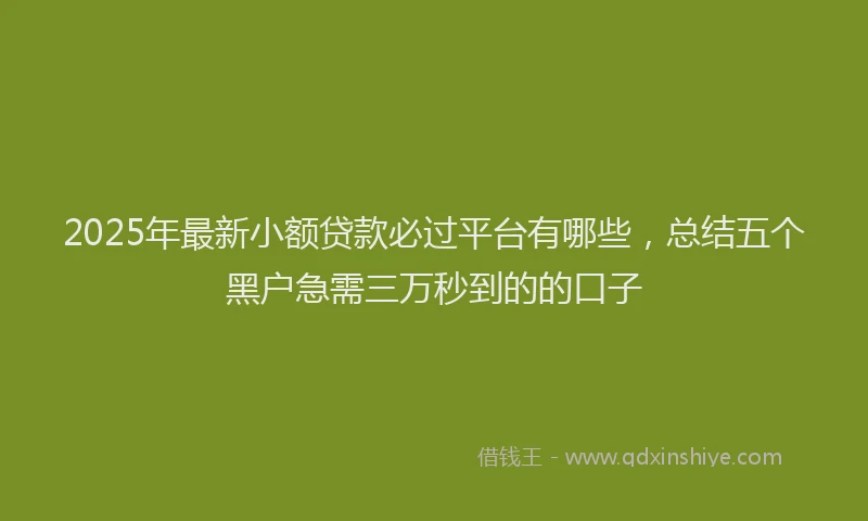 2025年最新小额贷款必过平台有哪些，总结五个黑户急需三万秒到的的口子
