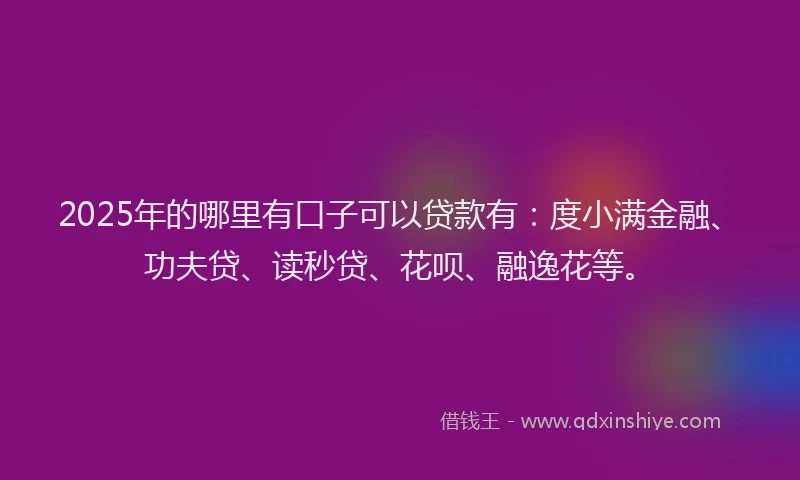 2025年的哪里有口子可以贷款有：度小满金融、功夫贷、读秒贷、花呗、融逸花等。