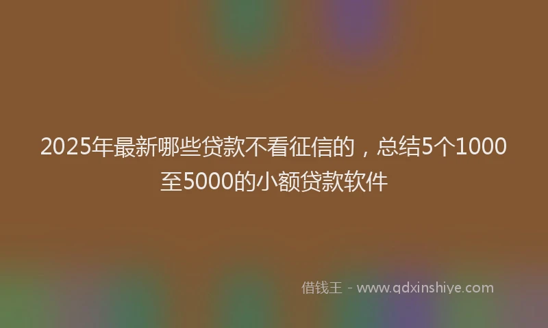 2025年最新哪些贷款不看征信的，总结5个1000至5000的小额贷款软件