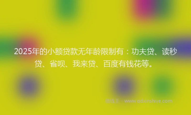 2025年的小额贷款无年龄限制有：功夫贷、读秒贷、省呗、我来贷、百度有钱花等。