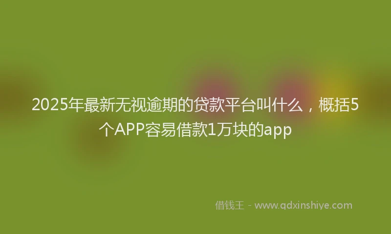2025年最新无视逾期的贷款平台叫什么，概括5个APP容易借款1万块的app