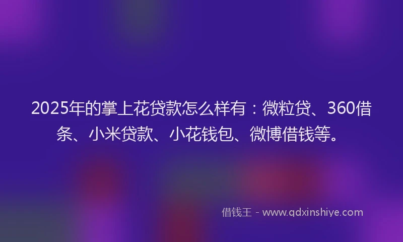 2025年的掌上花贷款怎么样有：微粒贷、360借条、小米贷款、小花钱包、微博借钱等。