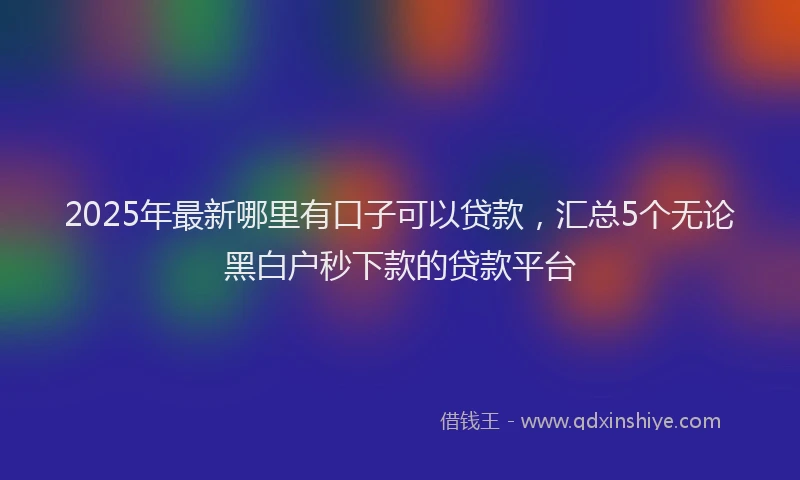 2025年最新哪里有口子可以贷款，汇总5个无论黑白户秒下款的贷款平台