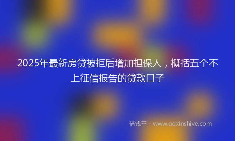 2025年最新房贷被拒后增加担保人，概括五个不上征信报告的贷款口子