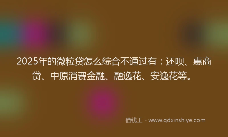 2025年的微粒贷怎么综合不通过有：还呗、惠商贷、中原消费金融、融逸花、安逸花等。
