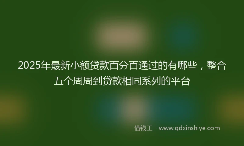2025年最新小额贷款百分百通过的有哪些，整合五个周周到贷款相同系列的平台