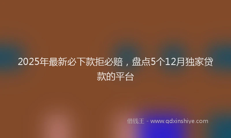 2025年最新必下款拒必赔，盘点5个12月独家贷款的平台