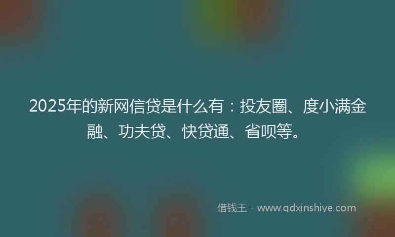 2025年的新网信贷是什么有：投友圈、度小满金融、功夫贷、快贷通、省呗等。