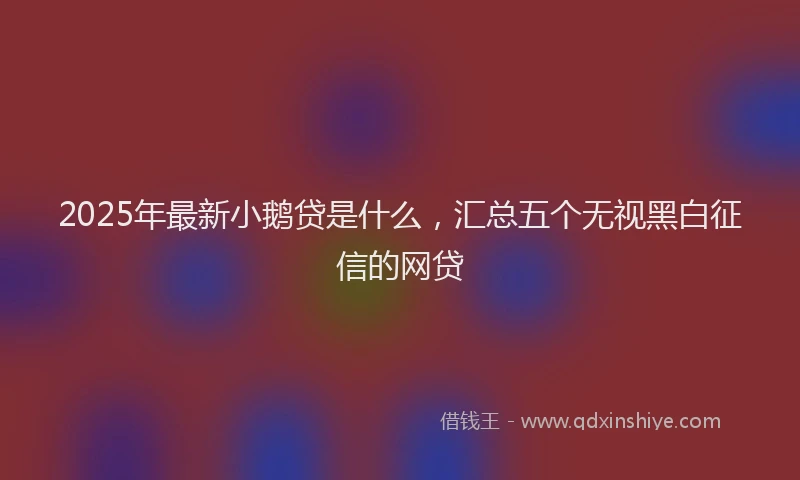 2025年最新小鹅贷是什么，汇总五个无视黑白征信的网贷