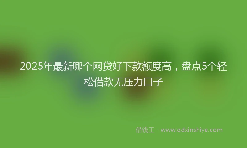 2025年最新哪个网贷好下款额度高，盘点5个轻松借款无压力口子