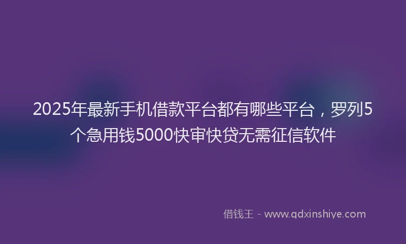 2025年最新手机借款平台都有哪些平台，罗列5个急用钱5000快审快贷无需征信软件