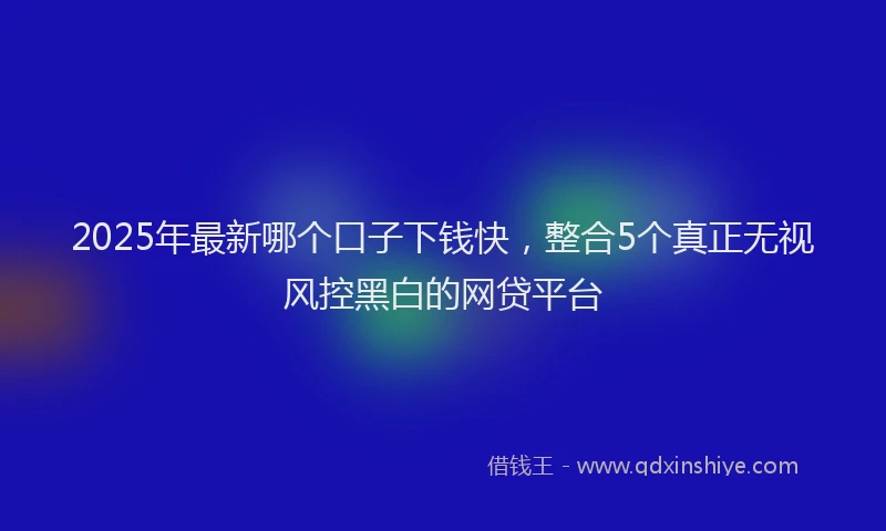 2025年最新哪个口子下钱快，整合5个真正无视风控黑白的网贷平台