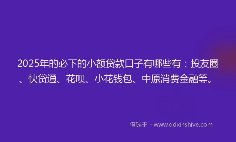 2025年的必下的小额贷款口子有哪些有：投友圈、快贷通、花呗、小花钱包、中原消费金融等。