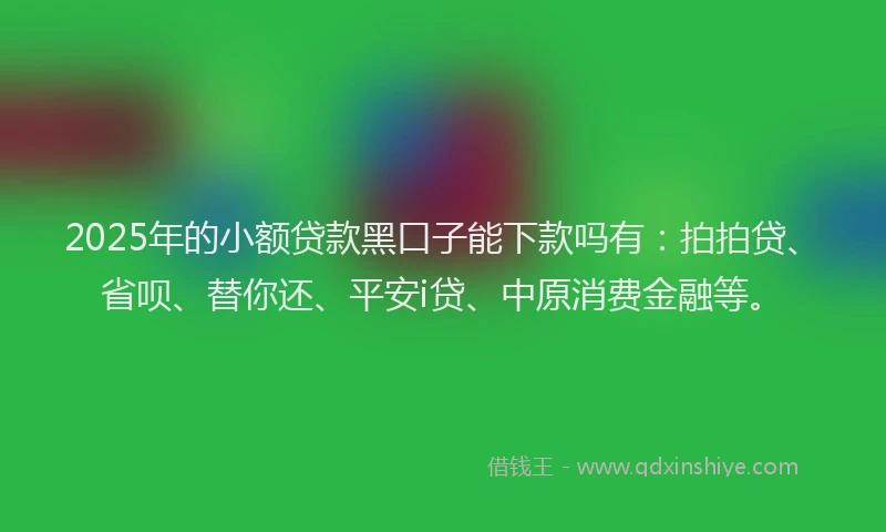 2025年的小额贷款黑口子能下款吗有：拍拍贷、省呗、替你还、平安i贷、中原消费金融等。