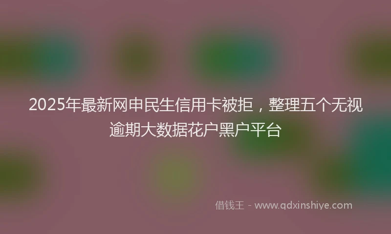 2025年最新网申民生信用卡被拒，整理五个无视逾期大数据花户黑户平台