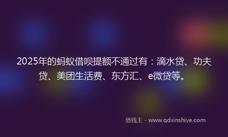 2025年的蚂蚁借呗提额不通过有：滴水贷、功夫贷、美团生活费、东方汇、e微贷等。