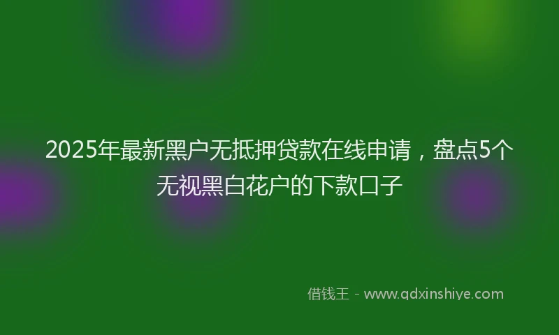 2025年最新黑户无抵押贷款在线申请，盘点5个无视黑白花户的下款口子