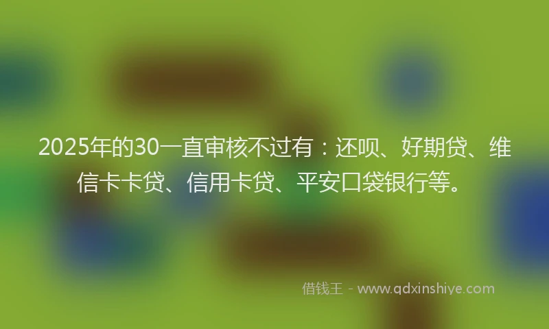 2025年的30一直审核不过有：还呗、好期贷、维信卡卡贷、信用卡贷、平安口袋银行等。