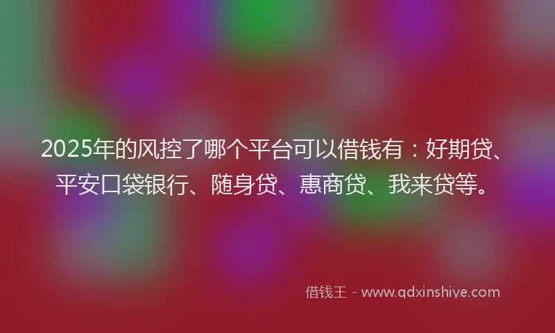 2025年的风控了哪个平台可以借钱有：好期贷、平安口袋银行、随身贷、惠商贷、我来贷等。