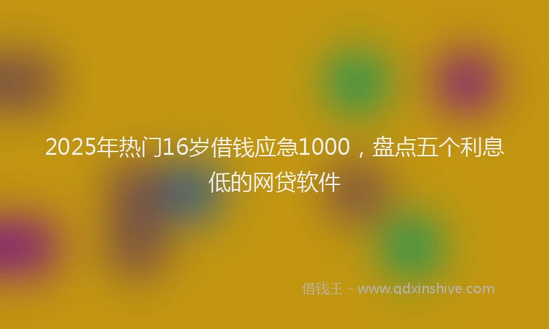 2025年热门16岁借钱应急1000，盘点五个利息低的网贷软件