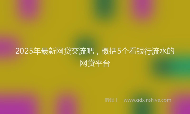 2025年最新网贷交流吧，概括5个看银行流水的网贷平台