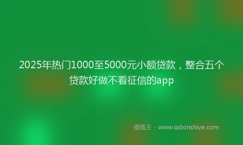 2025年热门1000至5000元小额贷款，整合五个贷款好做不看征信的app