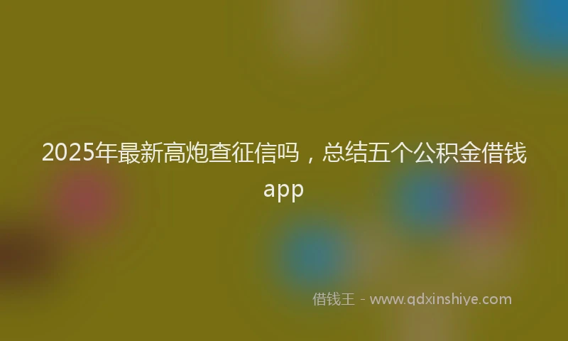 2025年最新高炮查征信吗，总结五个公积金借钱app
