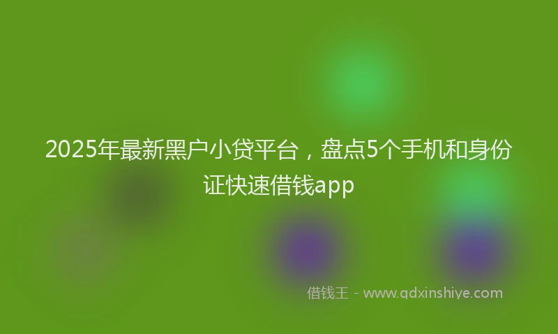 2025年最新黑户小贷平台，盘点5个手机和身份证快速借钱app