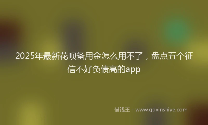 2025年最新花呗备用金怎么用不了，盘点五个征信不好负债高的app