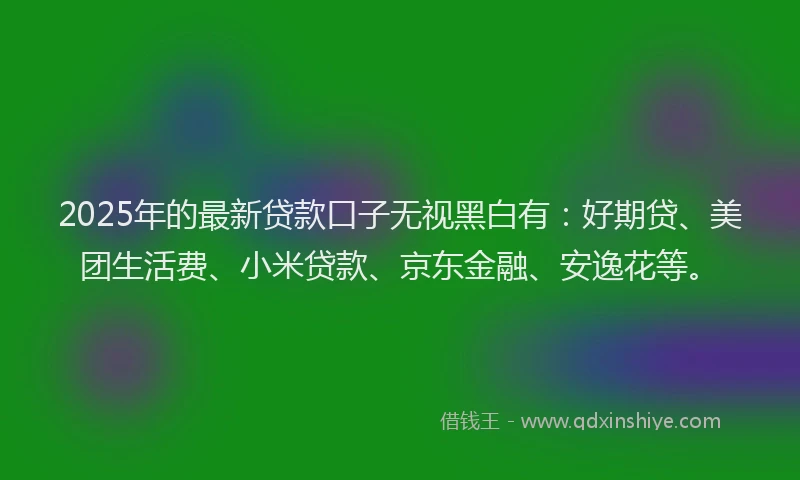 2025年的最新贷款口子无视黑白有：好期贷、美团生活费、小米贷款、京东金融、安逸花等。