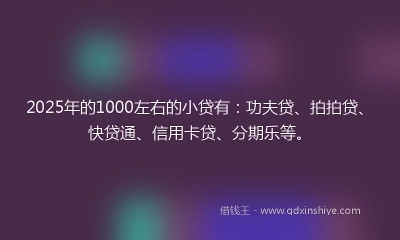2025年的1000左右的小贷有：功夫贷、拍拍贷、快贷通、信用卡贷、分期乐等。