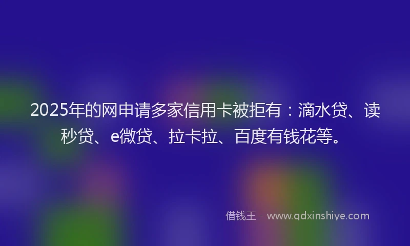 2025年的网申请多家信用卡被拒有：滴水贷、读秒贷、e微贷、拉卡拉、百度有钱花等。