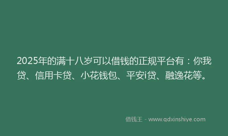 2025年的满十八岁可以借钱的正规平台有：你我贷、信用卡贷、小花钱包、平安i贷、融逸花等。